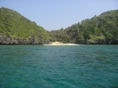 Koh Phi Phi - Schnorcheln