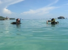 Koh Phi Phi - Schnorcheln und 1. Tauchversuche