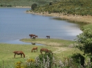 Sardinien 2008