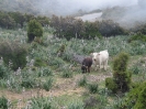 Sardinien 2008