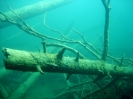 Bergseetauchen im Blindsee