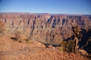 Grand Canyon 2. Teil
