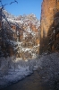 ZionNationalPark_6