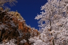 ZionNationalPark_8
