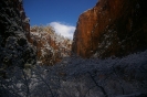 ZionNationalPark_5