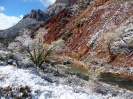 ZionNationalPark_10
