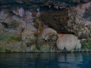 Cenotes_8