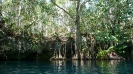 Cenotes_6