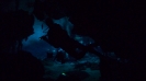 Cenotes