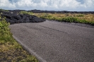 Big Island_23