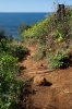 Kauai_36