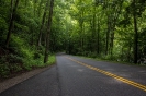Smoky Mountains_17