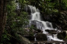 Smoky Mountains_22