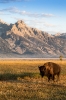 Grand Teton_7