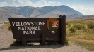 Yellowstone_1