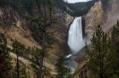 Yellowstone_33