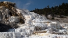 Yellowstone_40