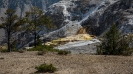 Yellowstone_42