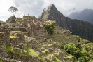 Machu Picchu_15