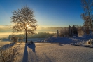 Winter in Weihers_1
