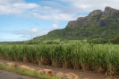 Mauritius Land_32