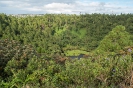 Mauritius Land_33