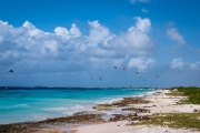 Bonaire-Curacao - Die Insel_28