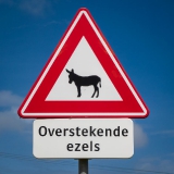 Bonaire-Curacao - Die Insel_30