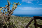 Bonaire-Curacao - Die Insel_49