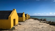 Bonaire-Curacao - Die Insel_8
