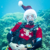 Bonaire-Curacao - Unterwasser_38