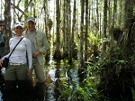 Everglades1